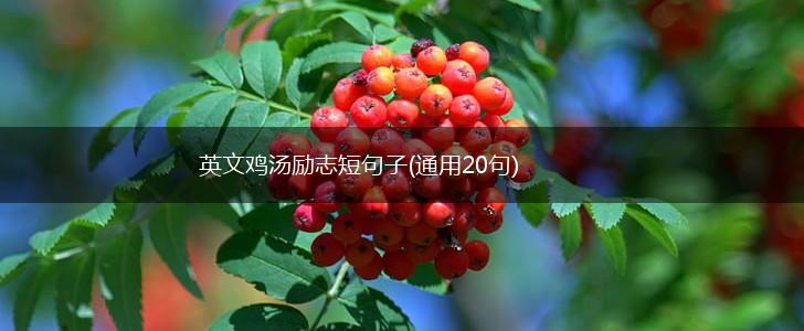 英文鸡汤励志短句子(通用20句),第1张