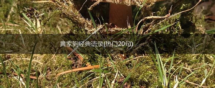 黄家驹经典语录(热门20句),第1张