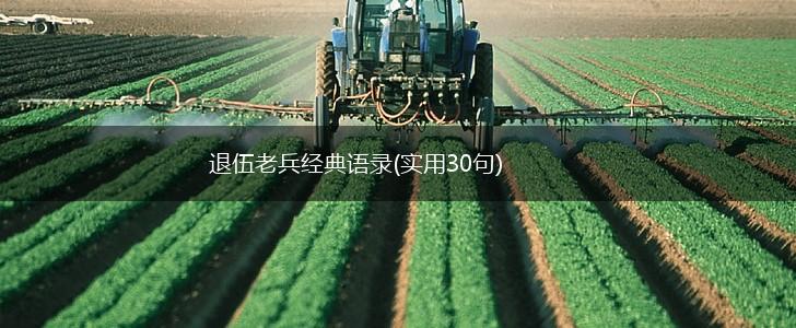 退伍老兵经典语录(实用30句),第1张