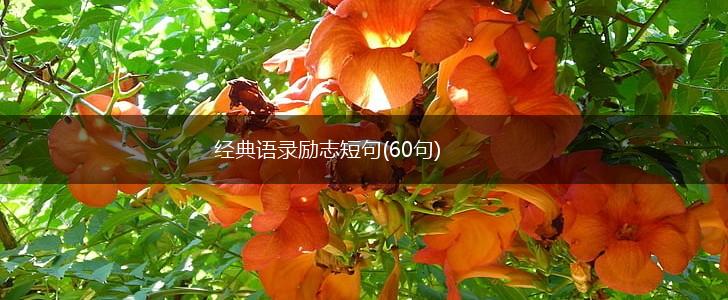 经典语录励志短句(60句),第1张