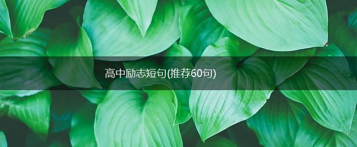 高中励志短句(推荐60句),第1张