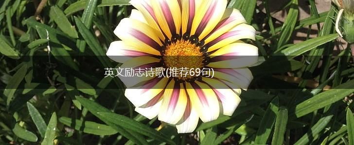 英文励志诗歌(推荐69句),第1张