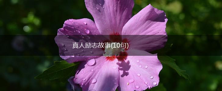 真人励志故事(10句),第1张 真人励志故事(10句),第1张
