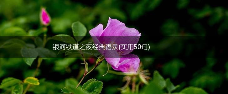 银河铁道之夜经典语录(实用50句),第1张