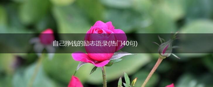自己挣钱的励志语录(热门40句),第1张