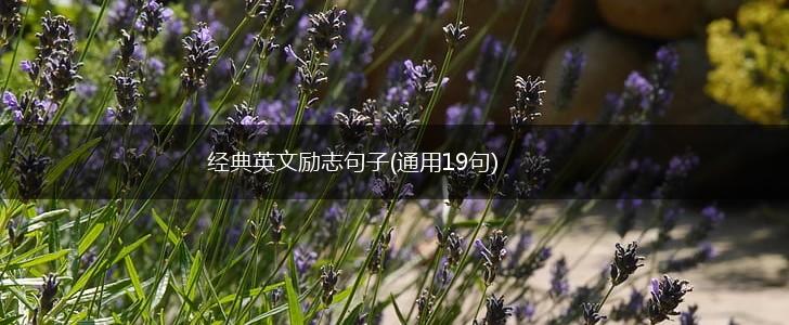 经典英文励志句子(通用19句),第1张 经典英文励志句子(通用19句),第1张