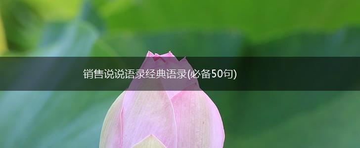 销售说说语录经典语录(必备50句),第1张