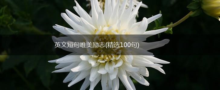 英文短句唯美励志(精选100句),第1张