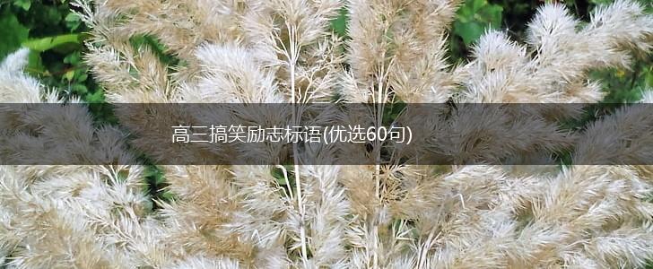 高三搞笑励志标语(优选60句),第1张