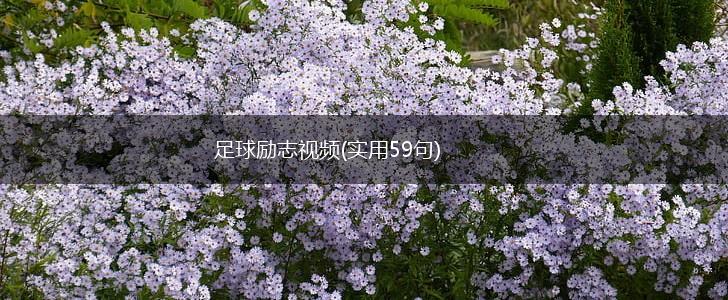 足球励志视频(实用59句),第1张