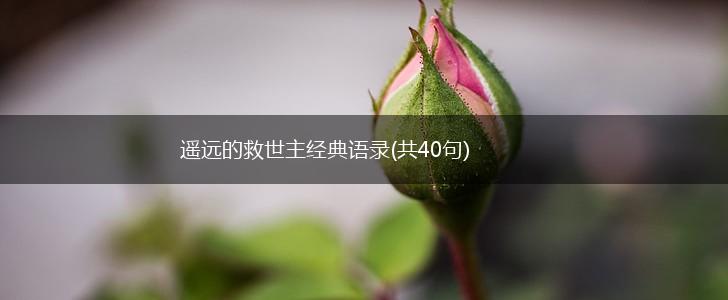 遥远的救世主经典语录(共40句),第1张