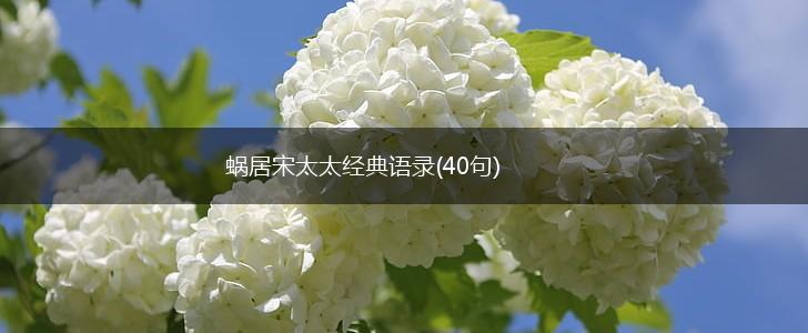 蜗居宋太太经典语录(40句),第1张