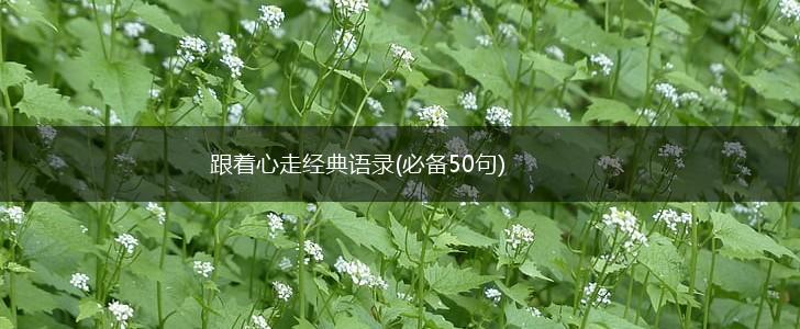 跟着心走经典语录(必备50句),第1张