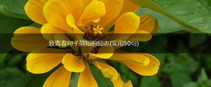 致青春句子简短的励志(实用50句),第1张 致青春句子简短的励志(实用50句),第1张