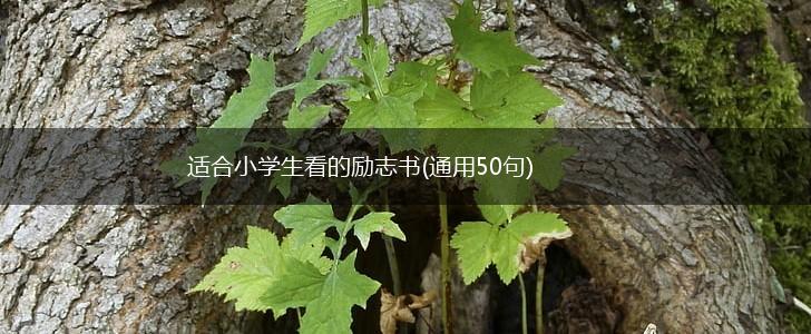 适合小学生看的励志书(通用50句),第1张