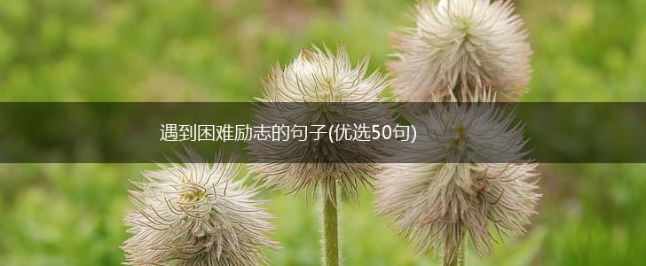 遇到困难励志的句子(优选50句),第1张