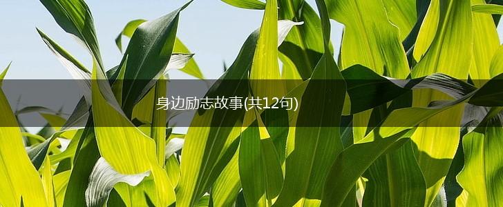 身边励志故事(共12句),第1张