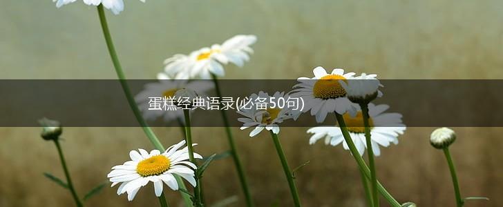 蛋糕经典语录(必备50句),第1张