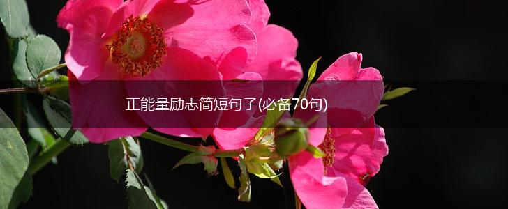 正能量励志简短句子(必备70句),第1张 正能量励志简短句子(必备70句),第1张