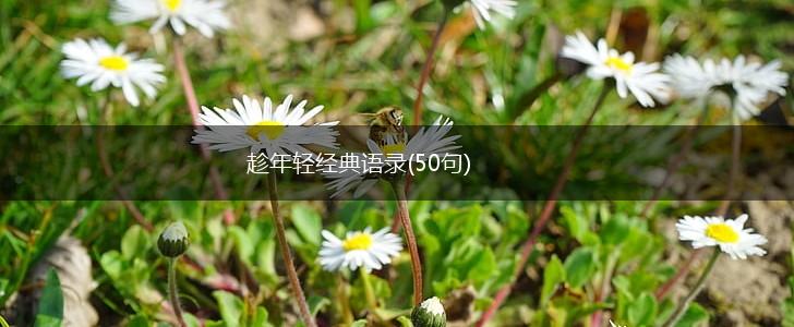 趁年轻经典语录(50句),第1张 趁年轻经典语录(50句),第1张