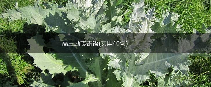 高三励志寄语(实用40句),第1张