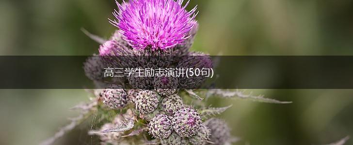 高三学生励志演讲(50句),第1张