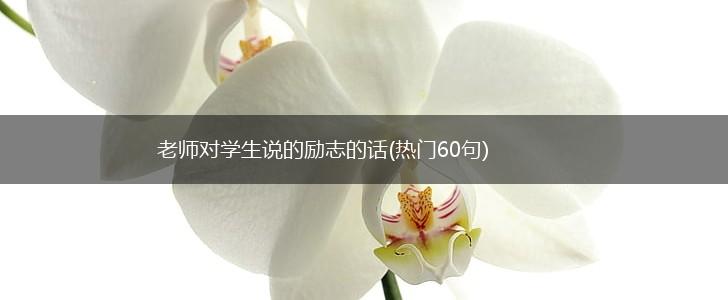 老师对学生说的励志的话(热门60句),第1张 老师对学生说的励志的话(热门60句),第1张