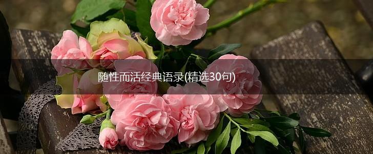 随性而活经典语录(精选30句),第1张
