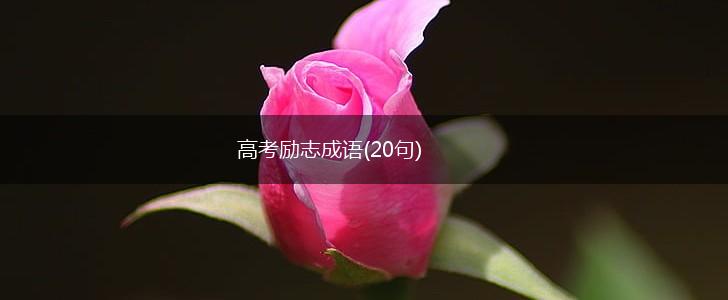 高考励志成语(20句),第1张