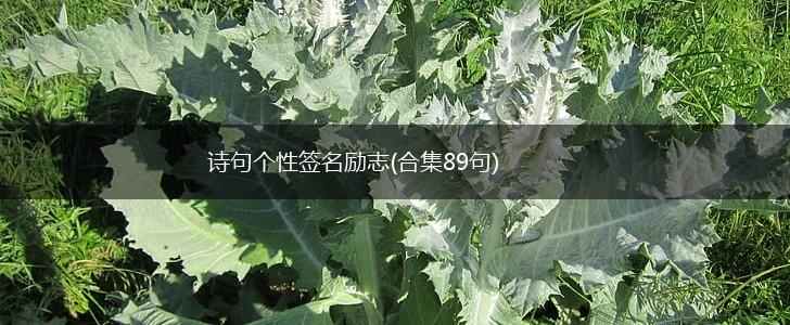 诗句个性签名励志(合集89句),第1张