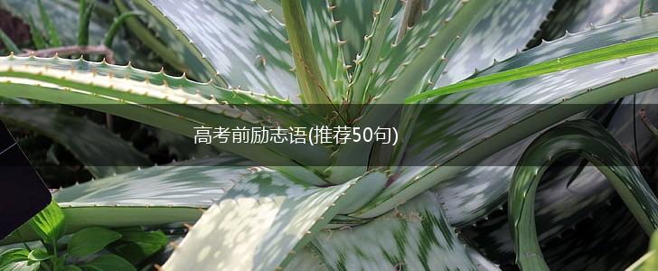 高考前励志语(推荐50句),第1张