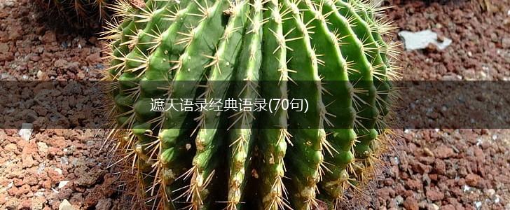 遮天语录经典语录(70句),第1张
