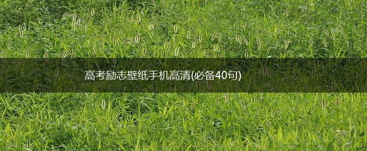 高考励志壁纸手机高清(必备40句),第1张
