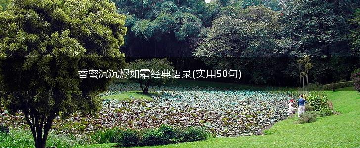 香蜜沉沉烬如霜经典语录(实用50句),第1张