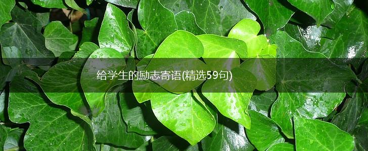 给学生的励志寄语(精选59句),第1张
