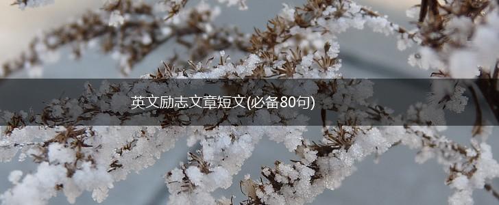 英文励志文章短文(必备80句),第1张