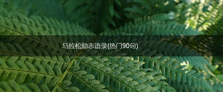马拉松励志语录(热门90句),第1张