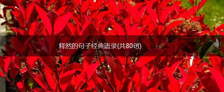 释然的句子经典语录(共80句),第1张