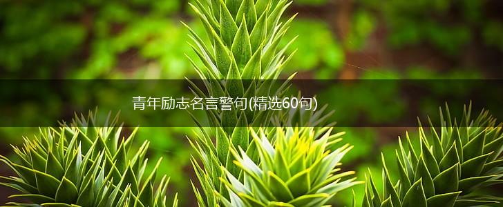 青年励志名言警句(精选60句),第1张