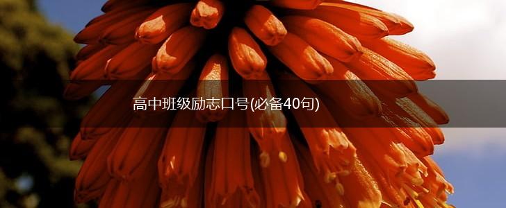 高中班级励志口号(必备40句),第1张