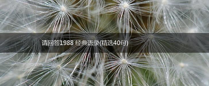 请回答1988 经典语录(精选40句),第1张 请回答1988 经典语录(精选40句),第1张