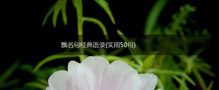 飘名句经典语录(实用50句),第1张