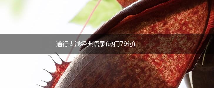 道行太浅经典语录(热门79句),第1张