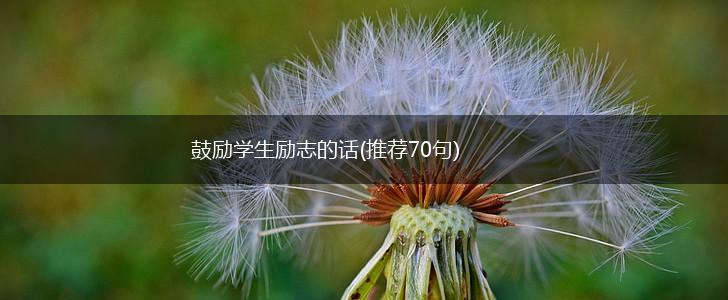 鼓励学生励志的话(推荐70句),第1张