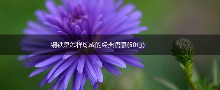 钢铁是怎样炼成的经典语录(50句),第1张