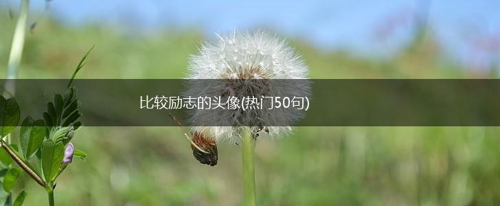 比较励志的头像(热门50句),第1张