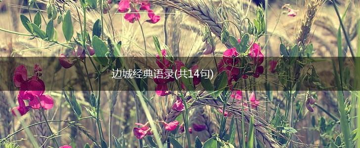 边城经典语录(共14句),第1张