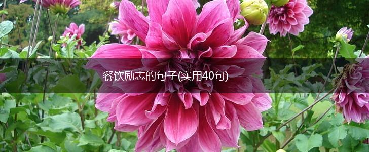 餐饮励志的句子(实用40句),第1张
