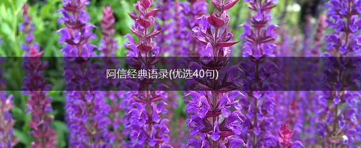 阿信经典语录(优选40句),第1张