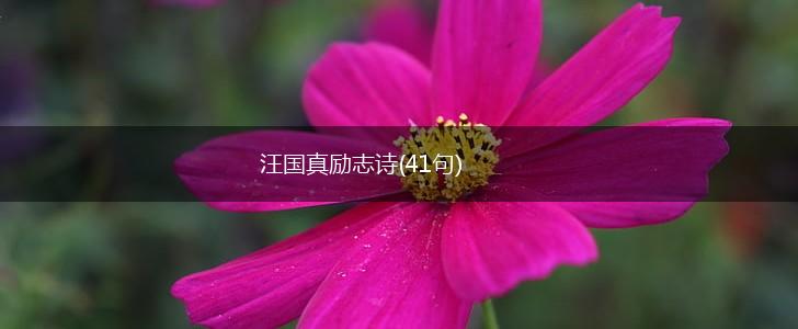 汪国真励志诗(41句),第1张